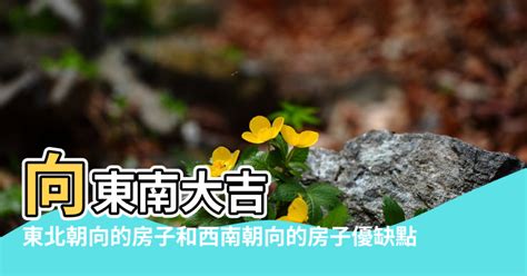 面東北|【面東北】面東北的房子風水全指南：優缺點、禁忌一覽表